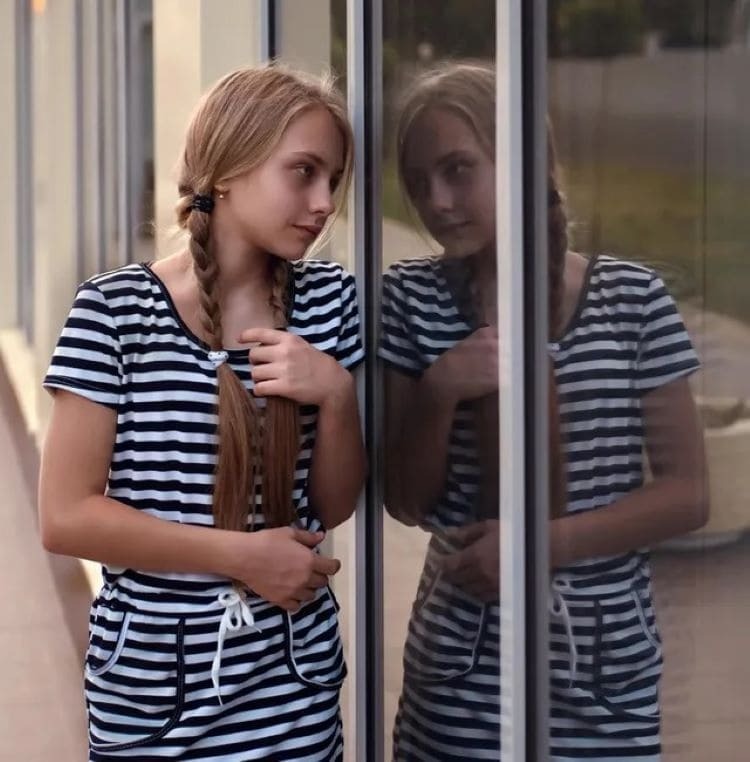 Rollo adhesivo vitrostático