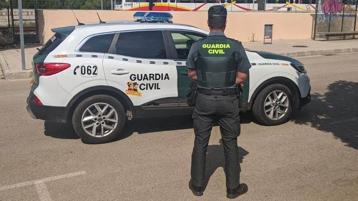 La Guardia Civil se ha encargado de la operación