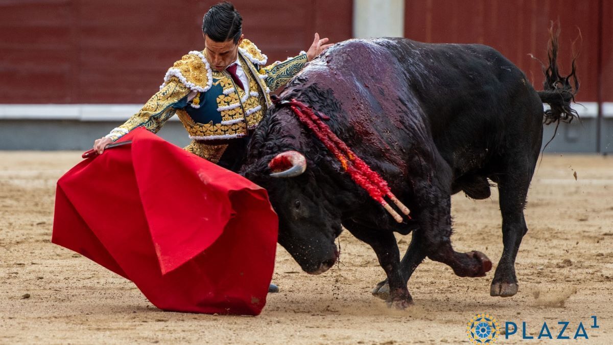 David Galván | Plaza 1