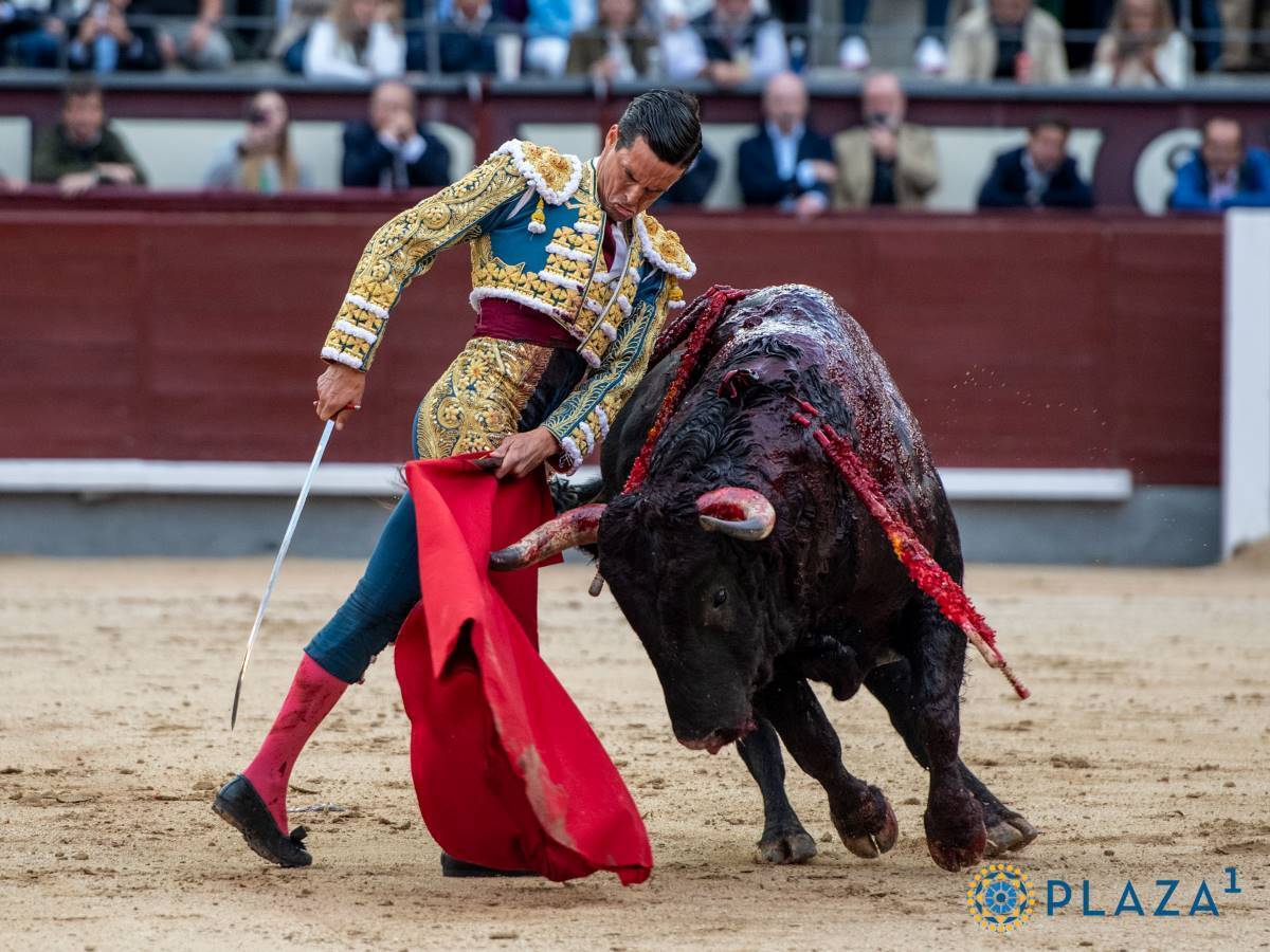 David Galván | Plaza 1