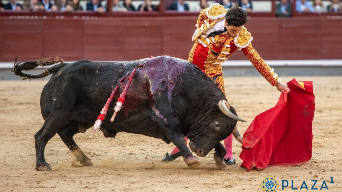 Álvaro Lorenzo | Plaza 1