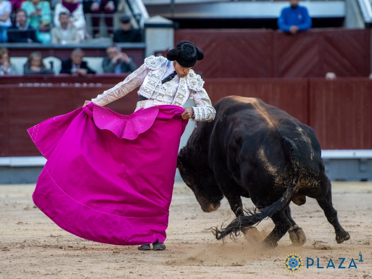 Ángel Téllez | Plaza 1
