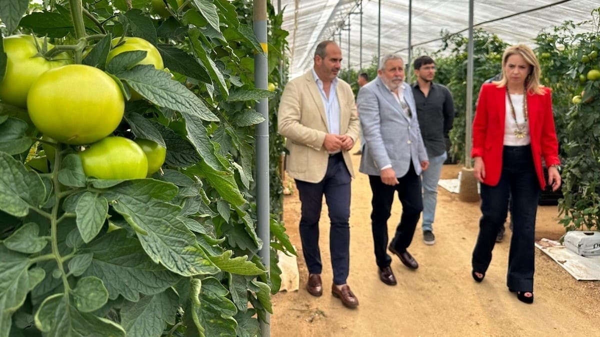 Martínez ha insistido en el apoyo de la Diputación al sector primario