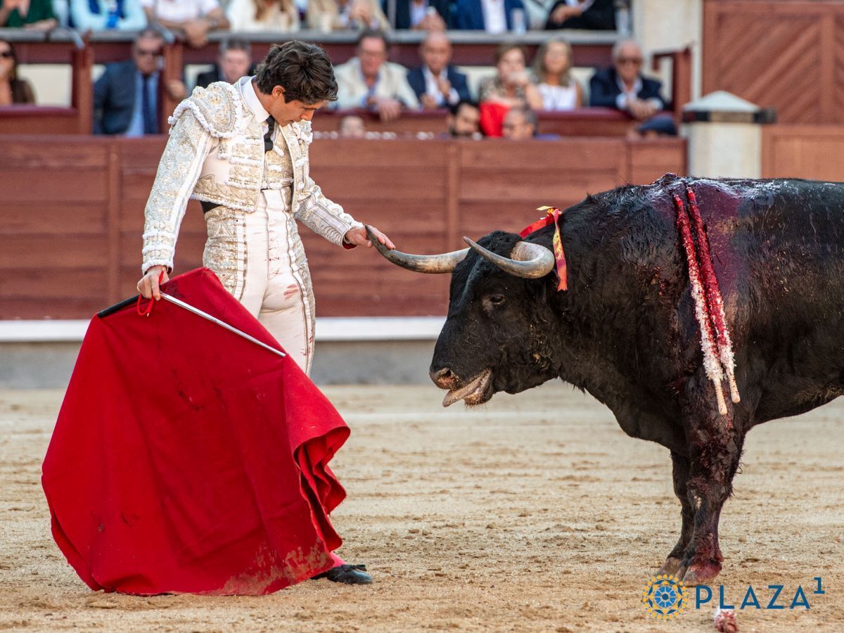 Sebastián Castella | Plaza 1