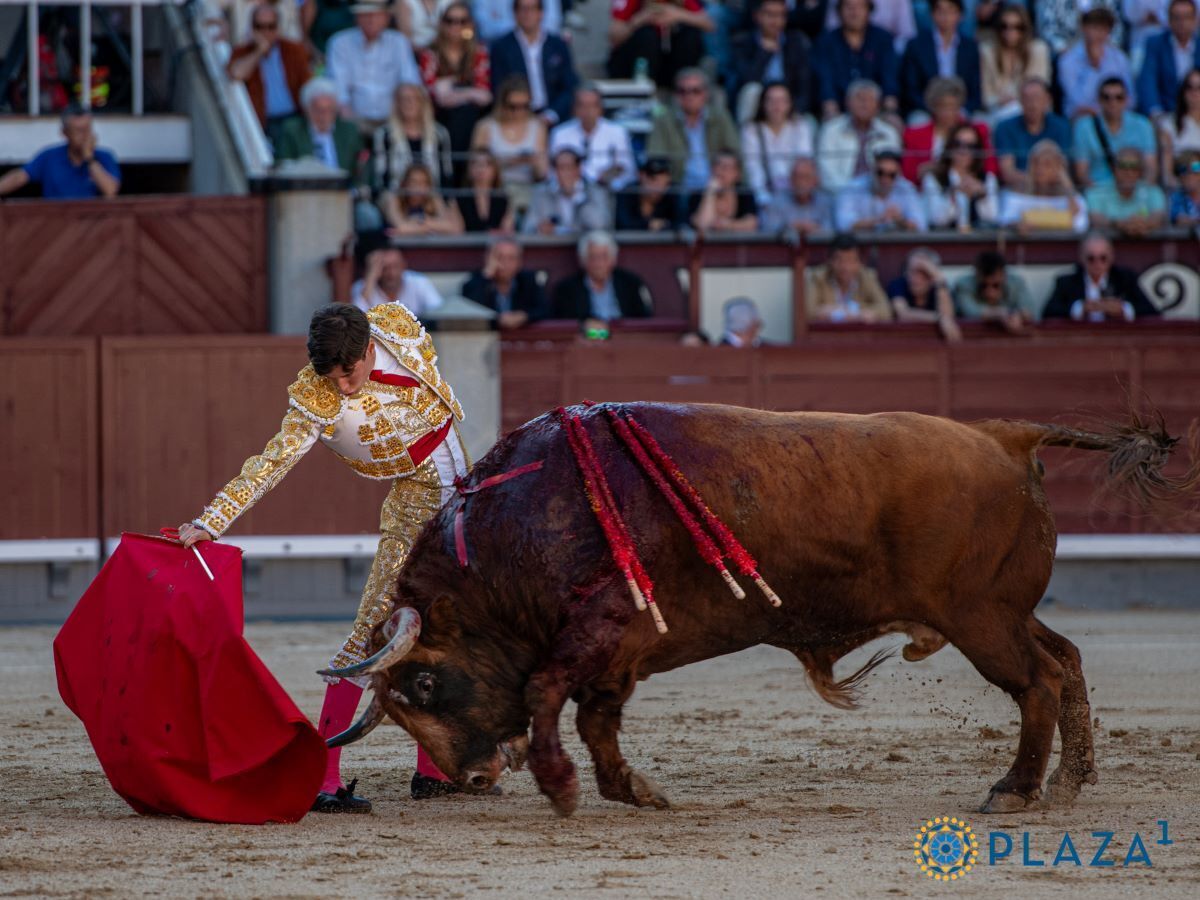 Christian Parejo | Plaza 1