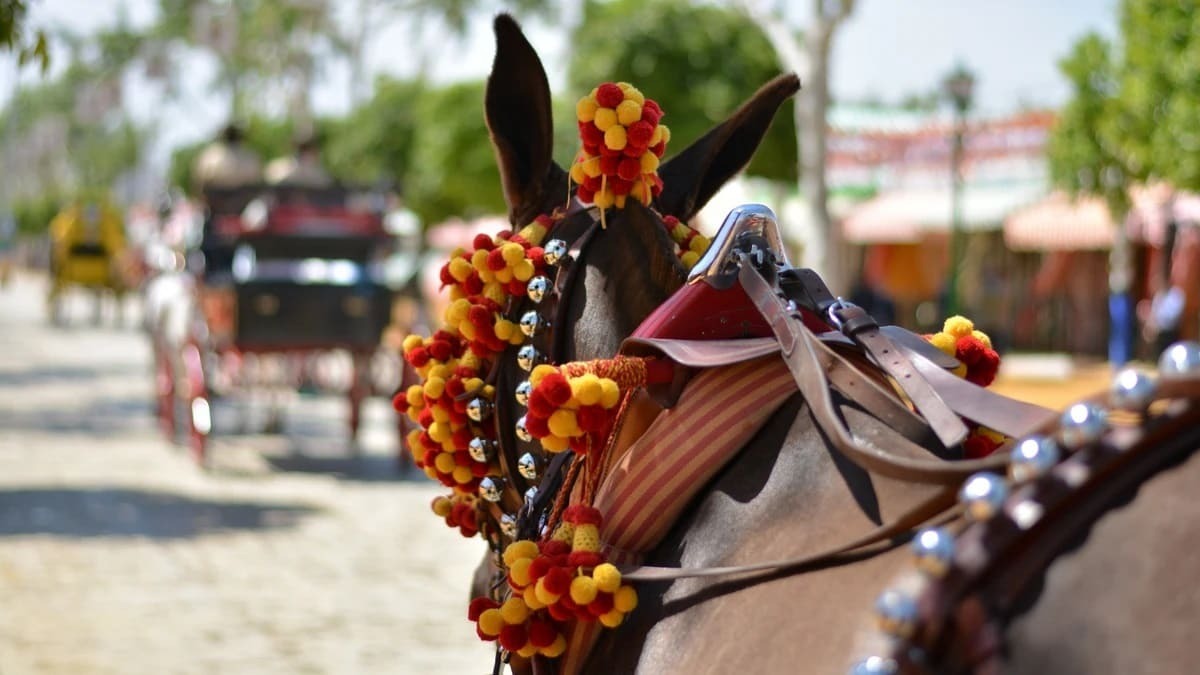 Los caballos también tendrán su protagonismo en la Feria de Granada