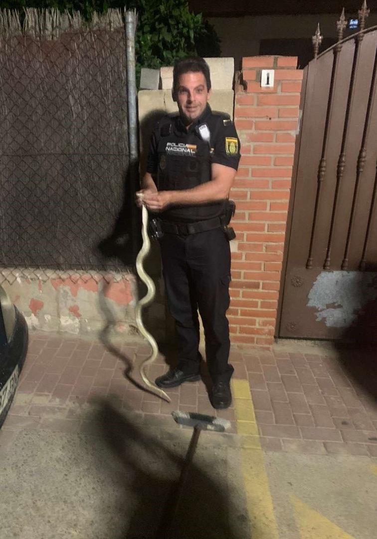 Agente de la Policía Nacional de Jerez tras capturar la serpiente