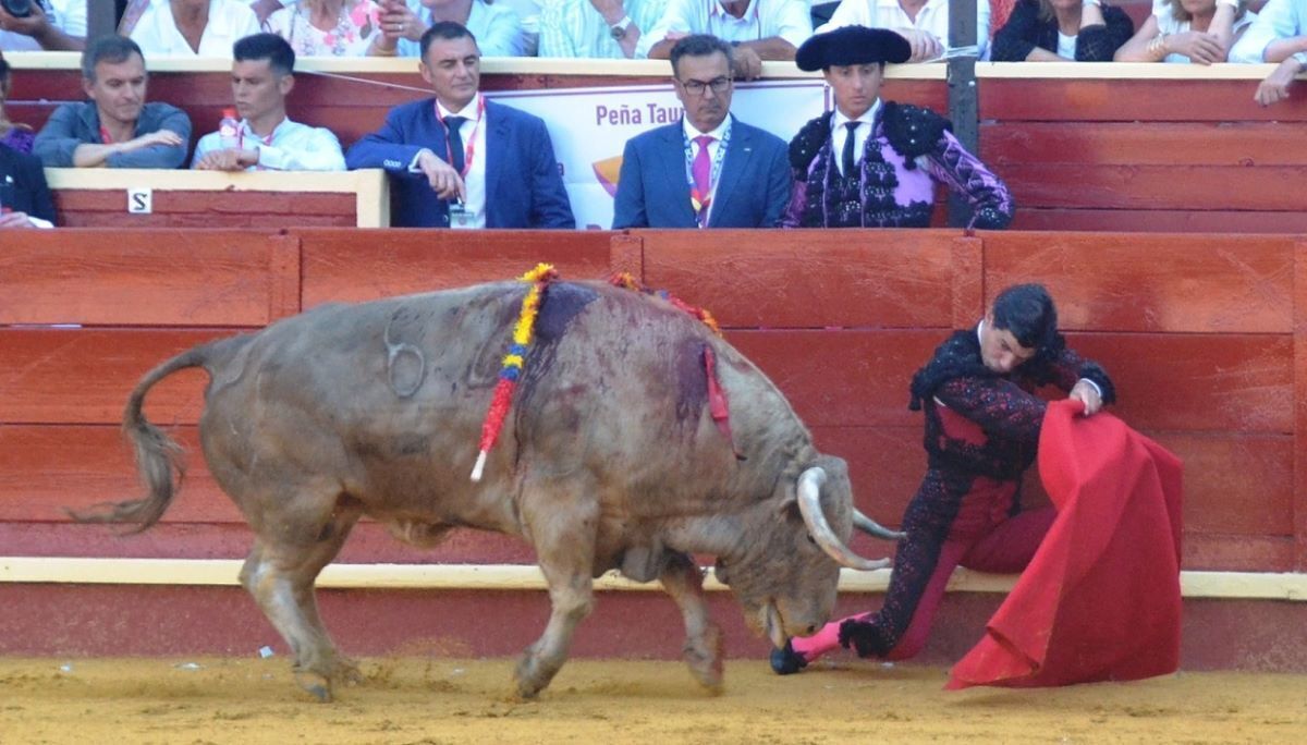 Pablo Aguado | Marciano Breña