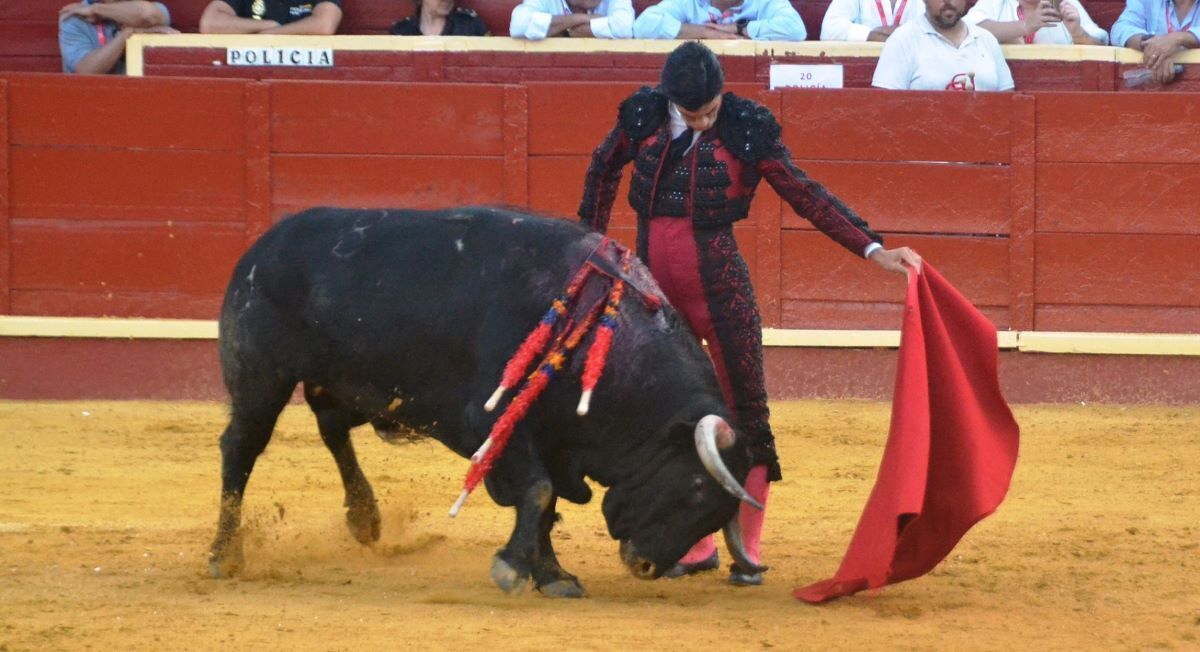 Pablo Aguado | Marciano Breña