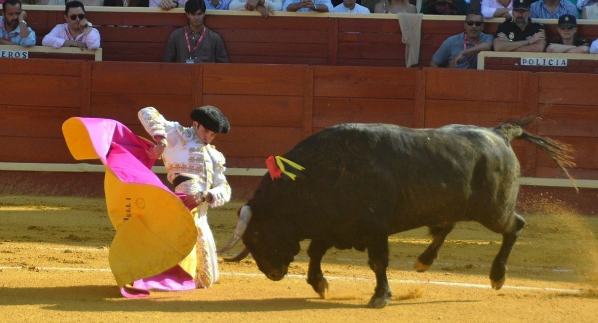 El Melli | Marciano Breña