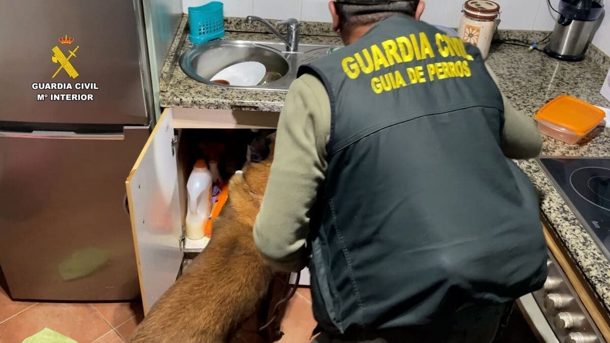 La Guardia Civil ha dirigido la operación (3)