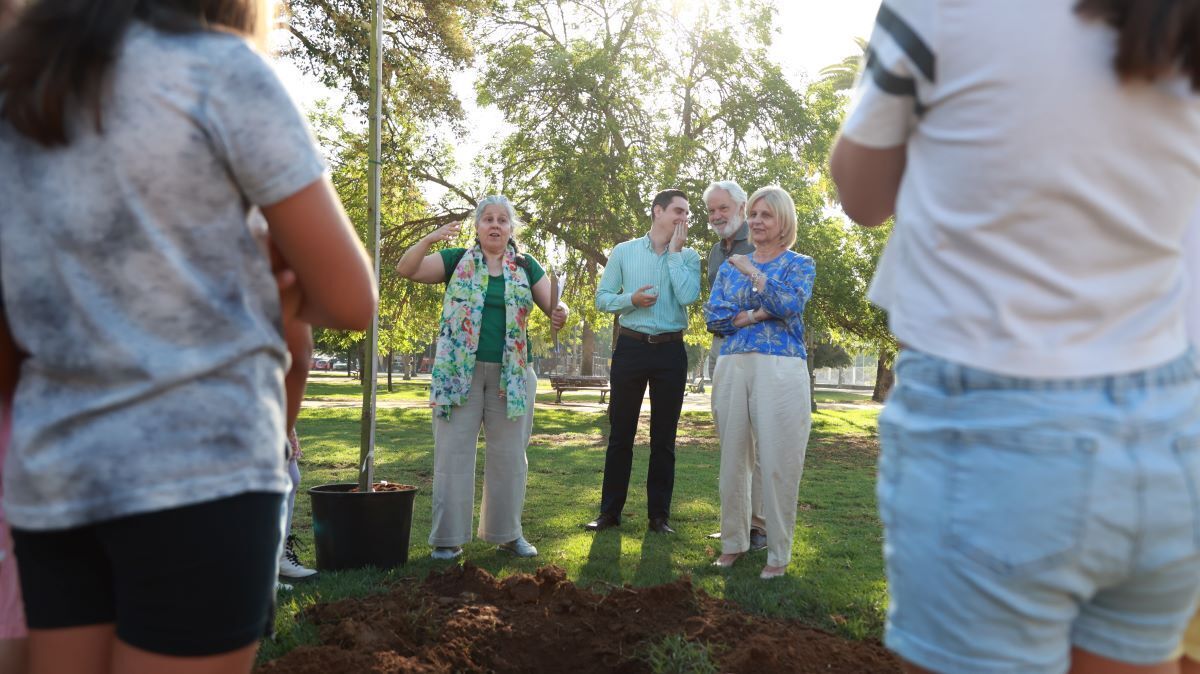 Plantación de un ejemplar de Alcanforero en el Parque El Retiro de Jerez | Cristo García
