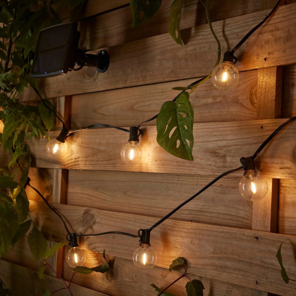 Guirnalda solar Elao, INSPIRE