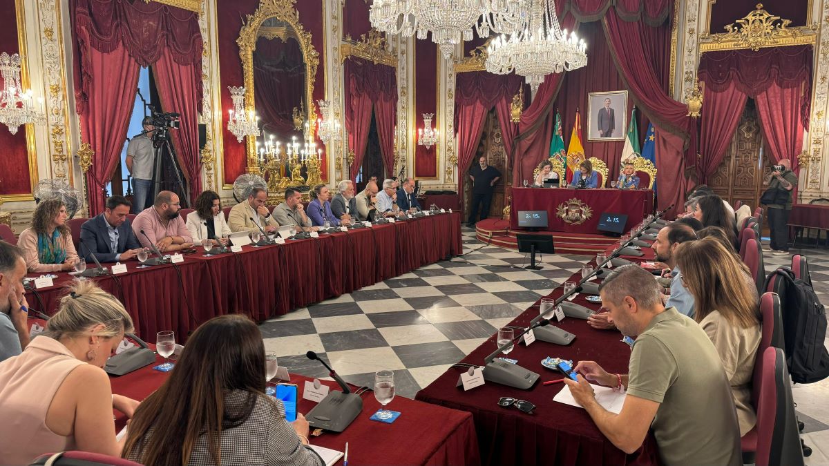 Pleno Extraordinario en la Diputación de Cádiz | Rafa Domínguez