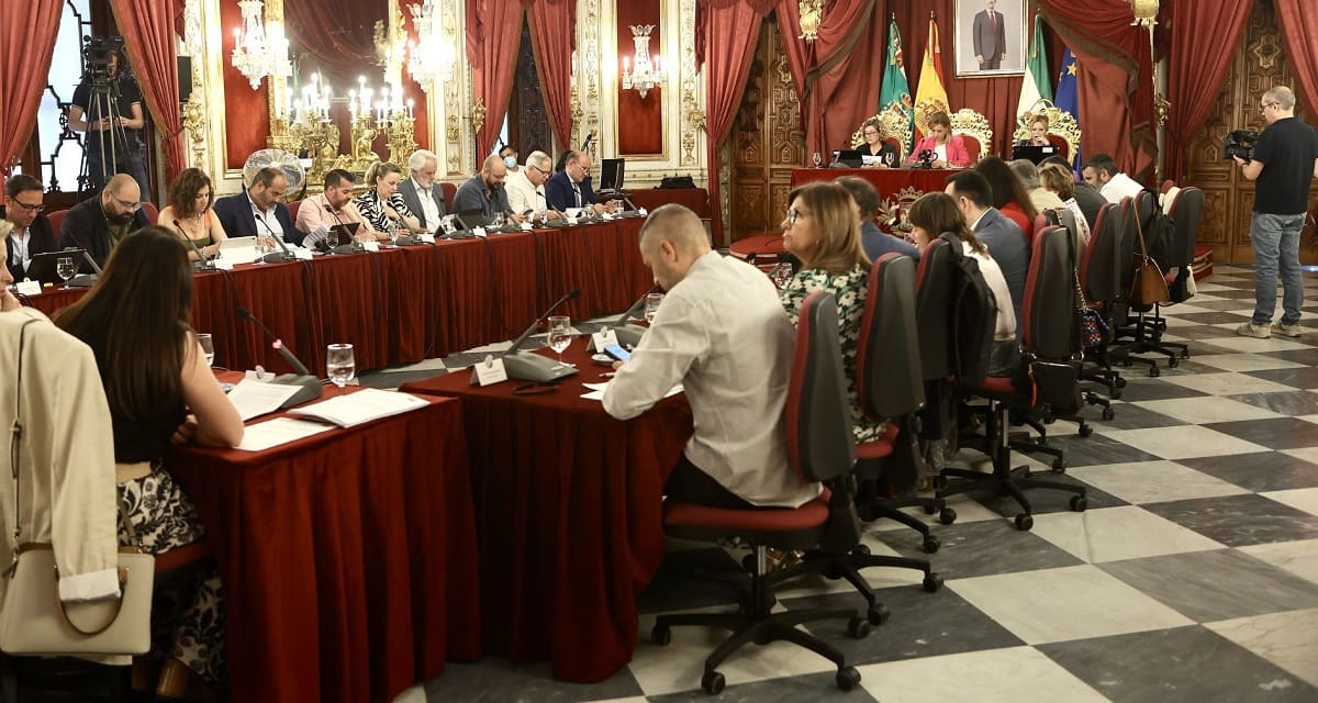 Imagen de la sesión plenaria de este 19 de junio