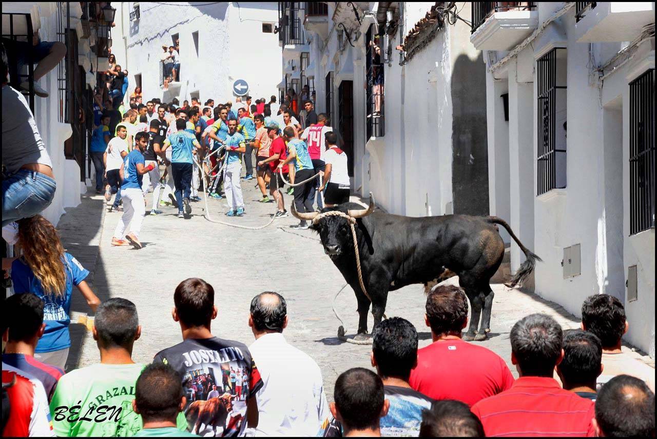 Toro de cuerda I Foto Belén