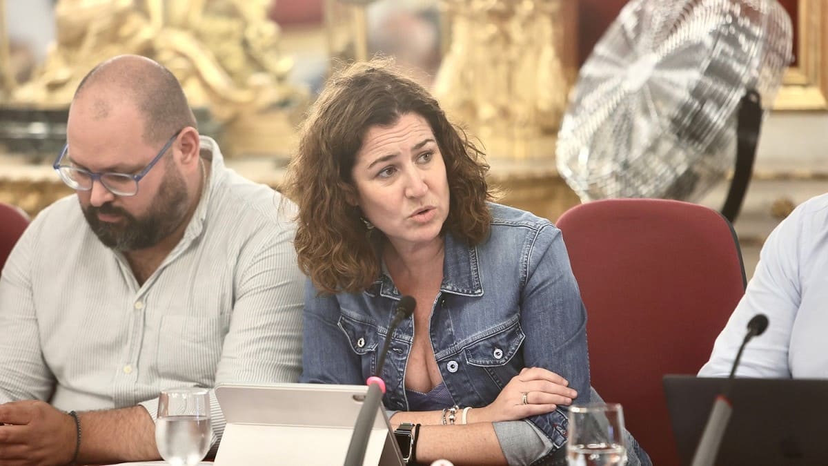 La diputada Paula Conesa