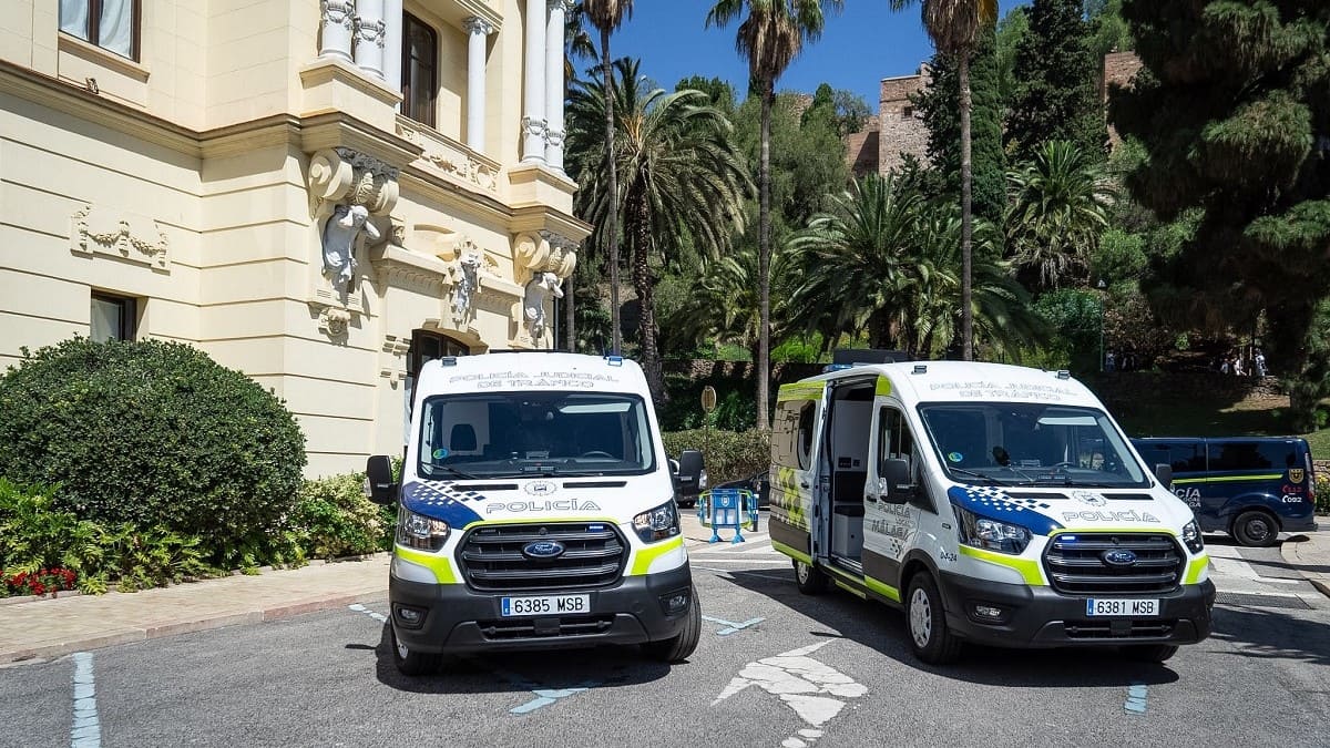 Imagen de algunos de los vehículos adquiridos