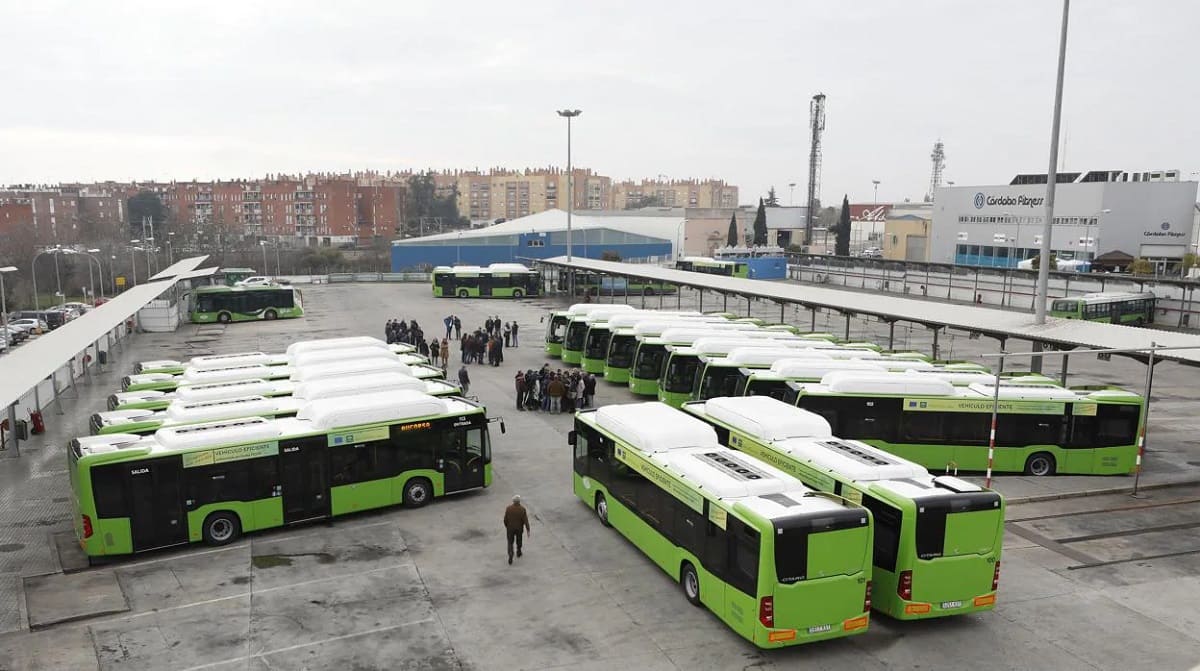 Autobuses urbanos en Córdoba