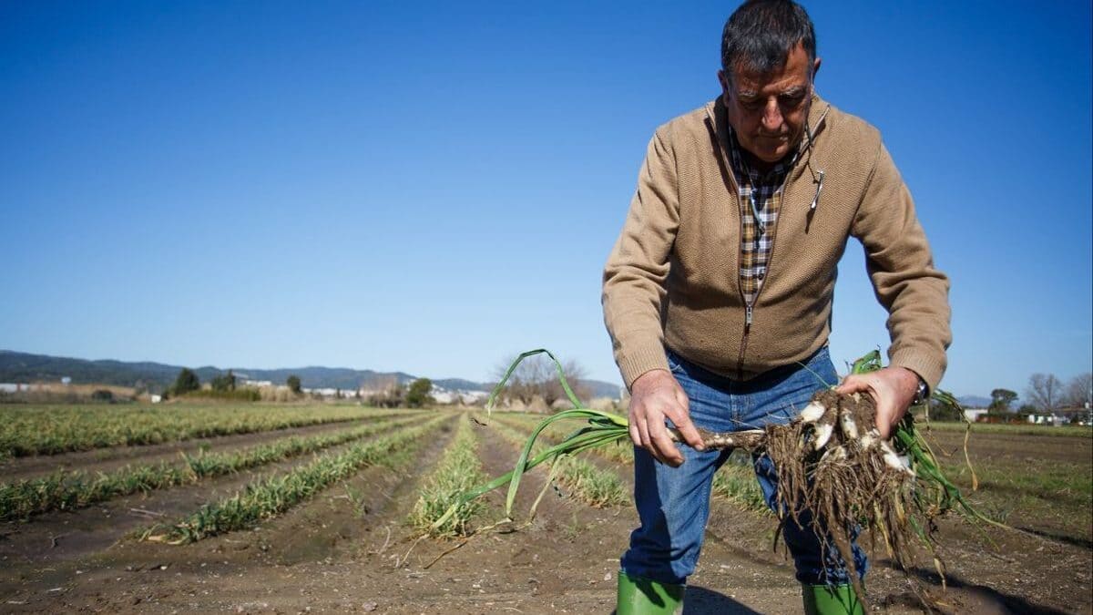 Una persona trabajando en el campo en Andalucía
