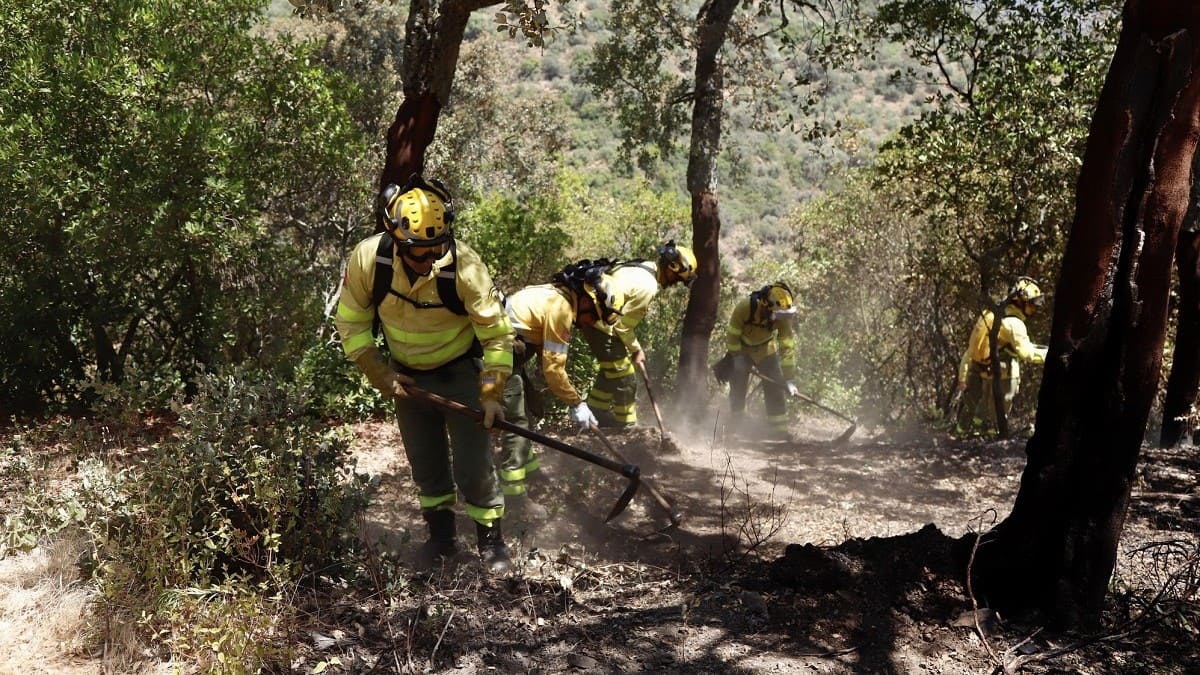 La prevención de incendios forestales en verano es fundamental en Andalucía