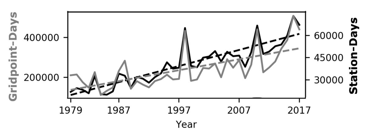 Tendencia del recuento mundial de casos registrados de temperaturas de bulbo húmedo superiores a 27 grados Celsius (80,5 grados Fahrenheit), a partir de dos fuentes: estaciones meteorológicas (eje derecho, línea negra) y un producto de «reanálisis» reticulado (eje izquierdo, línea gris). Las líneas discontinuas son regresiones que muestran la tendencia de cada serie temporal. | Raymond et al 2020, Science Advances
