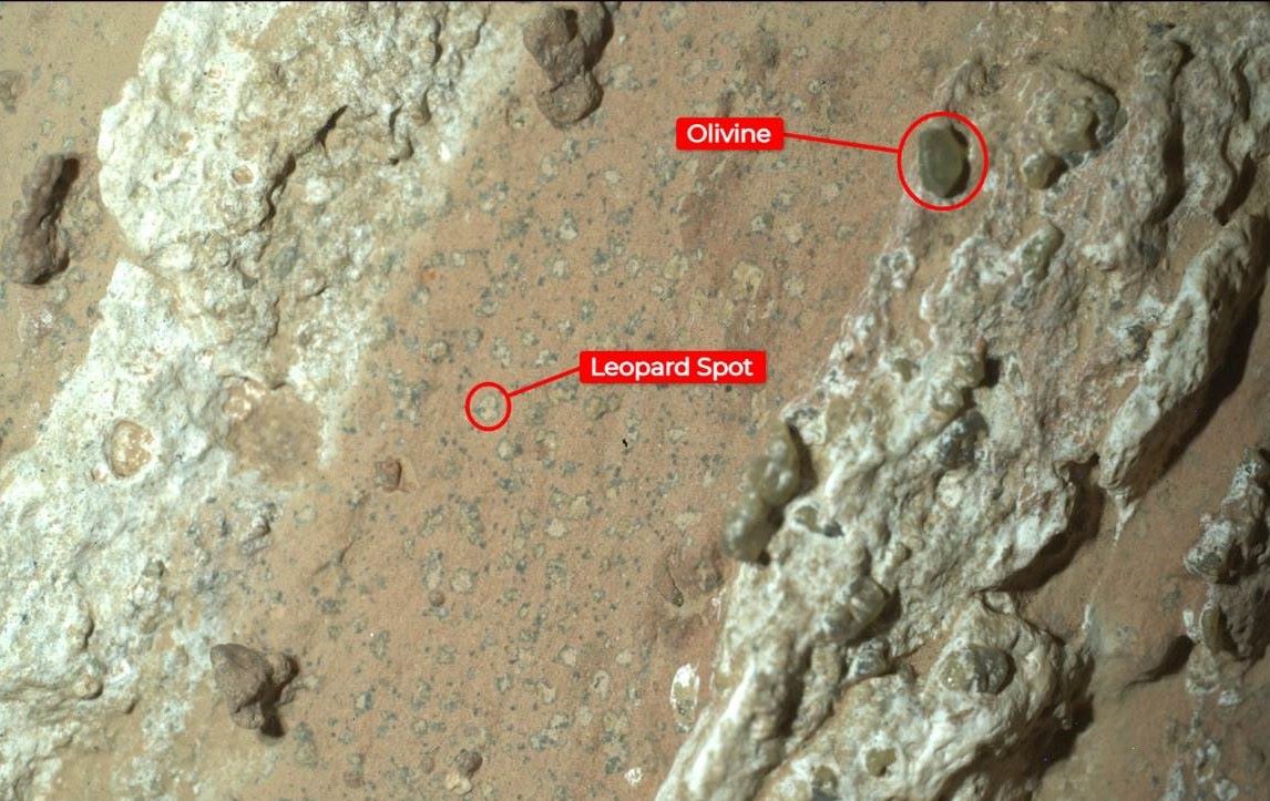 La versión anotada de la imagen de “cataratas Cheyava” indica las marcas similares a las manchas de leopardo, que han cautivado particularmente a los científicos, y el olivino en la ro