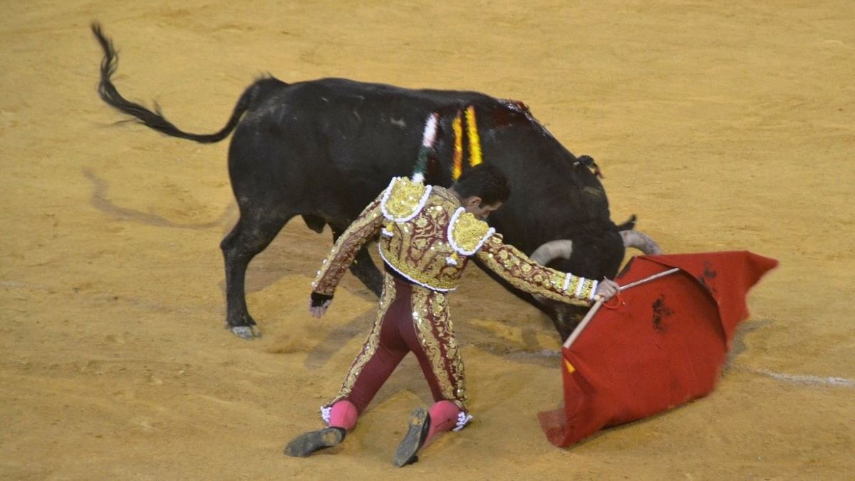 Alejandro Talavante I Breña