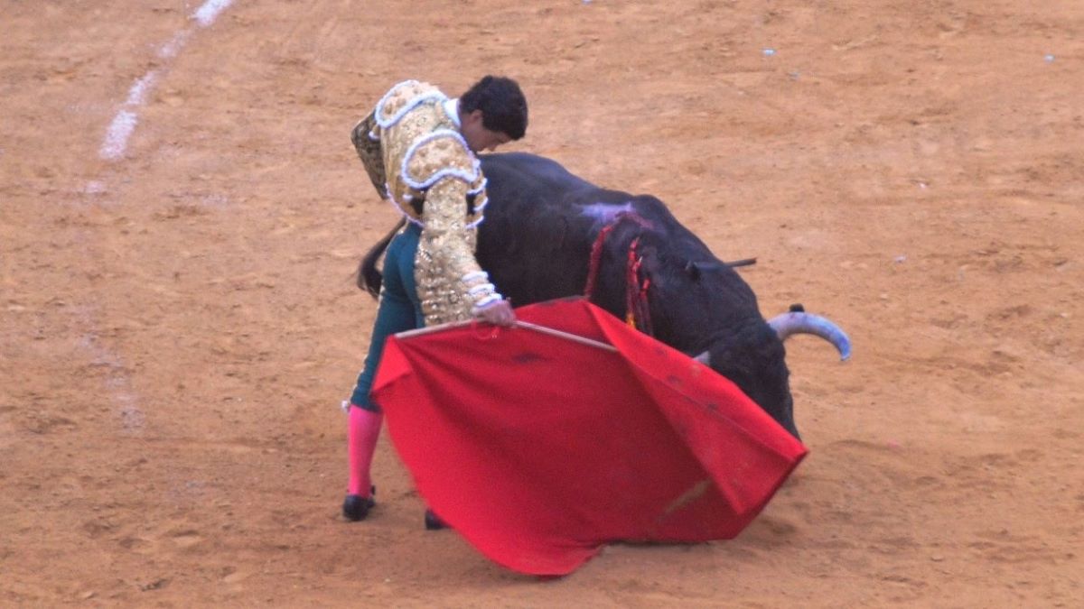 Pablo Aguado I Breña