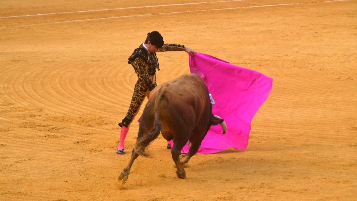 Manuel Román I Breña