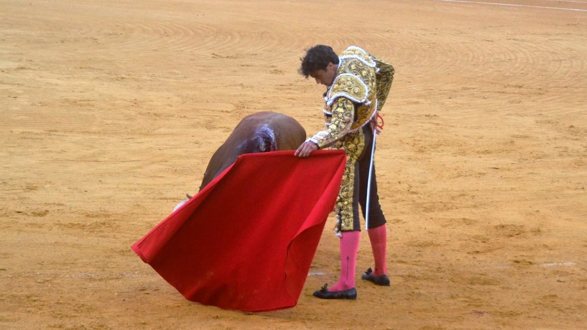 Gonzalo Capdevila I Breña