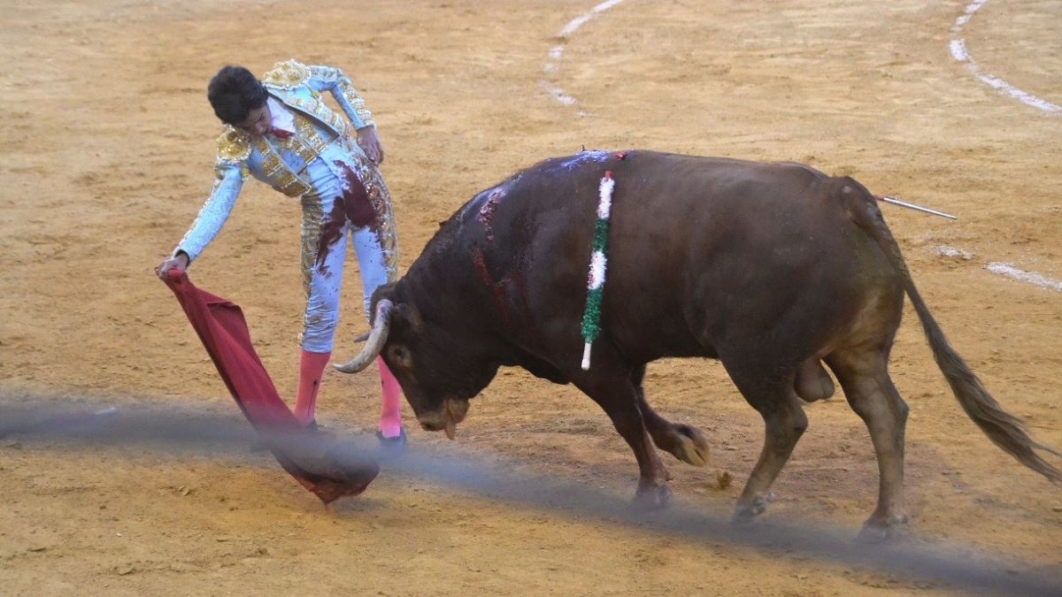 Marco Pérez I Breña