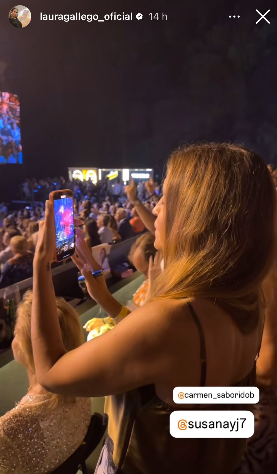 Susana Saborido en el concierto de Luis Miguel en Marbella | Instagram