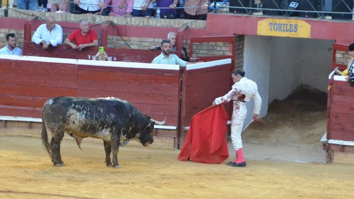 David de Miranda | Breña