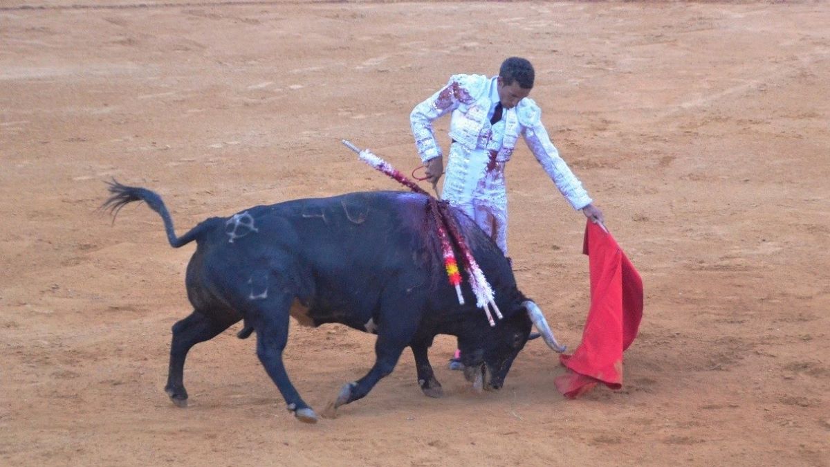 David de Miranda | Breña