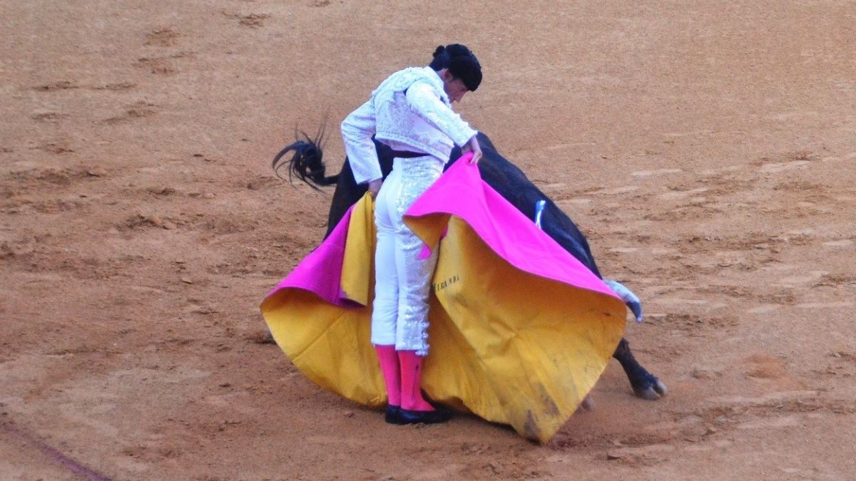 David de Miranda | Breña