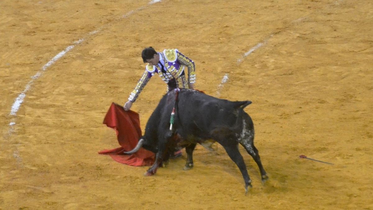 Daniel Luque I Breña