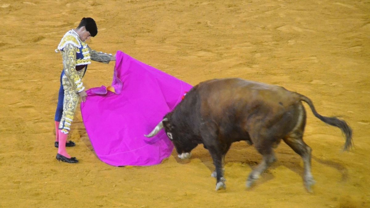 David Galván I Breña