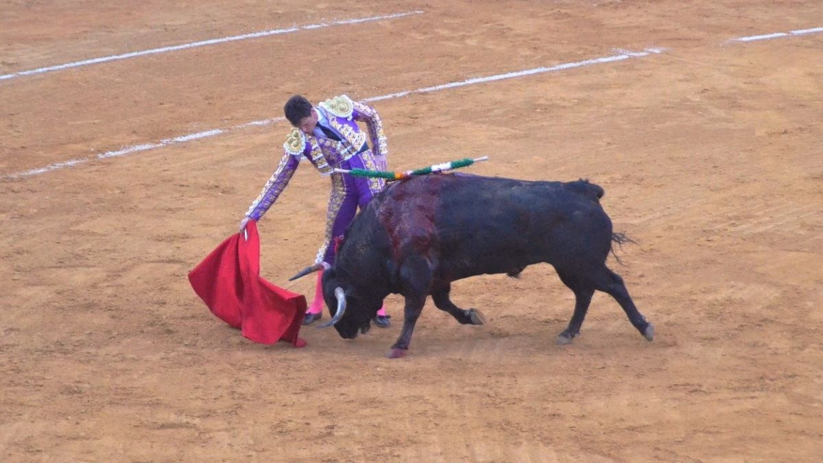 Daniel Luque I Breña