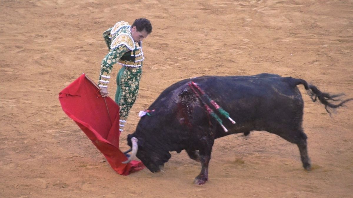 Ginés Marín I Breña