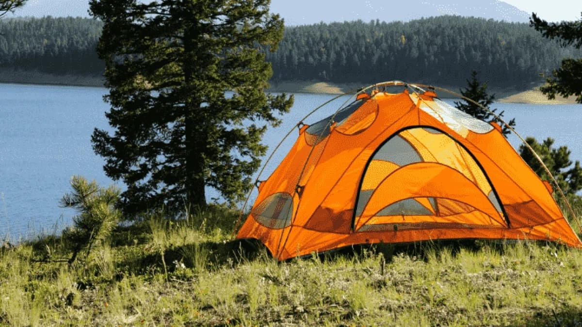 Personas acampan en Málaga