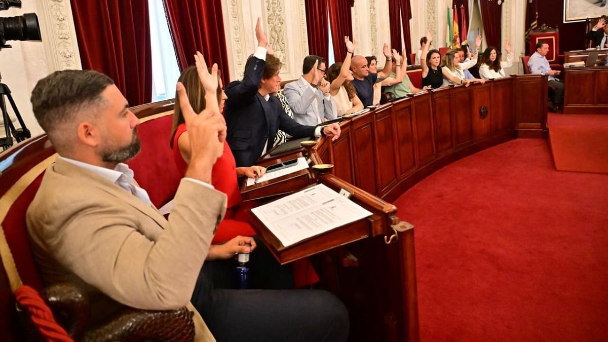 Votación en el pleno del Ayuntamiento de Cádiz