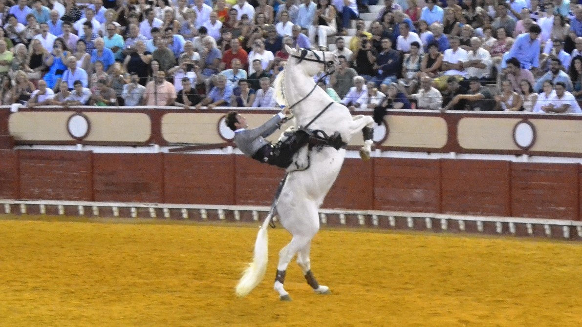 Andy Cartagena I Breña