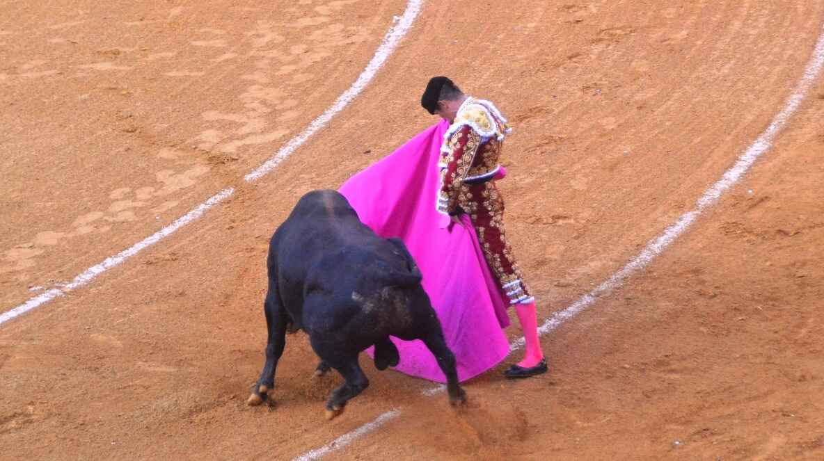 José María Manzanares | Marciano Breña