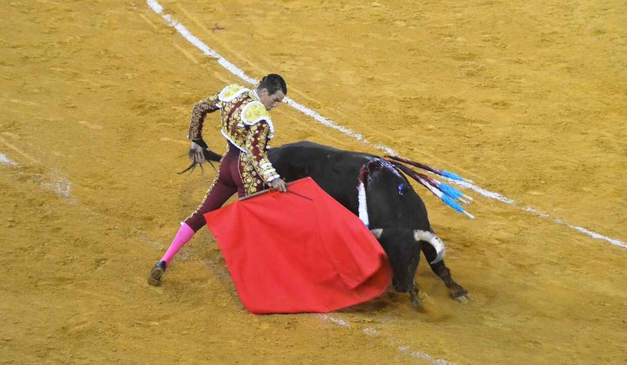 José María Manzanares | Marciano Breña