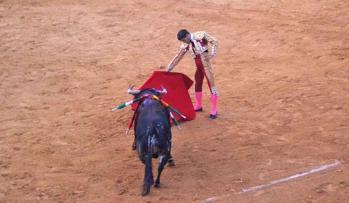 Pablo Aguado | Marciano Breña