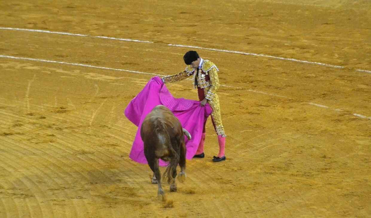Pablo Aguado | Marciano Breña