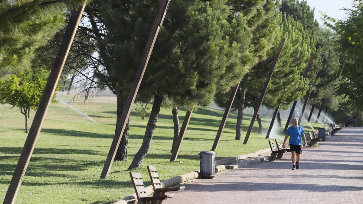 Córdoba seguirá apostando por las zonas verdes