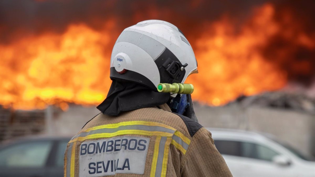 13/09/2019 Bomberos intervienen en un incendio de palés en el solar de una nave industrial de Dos Hermanas
POLITICA 
Jesús Prieto - Europa Press