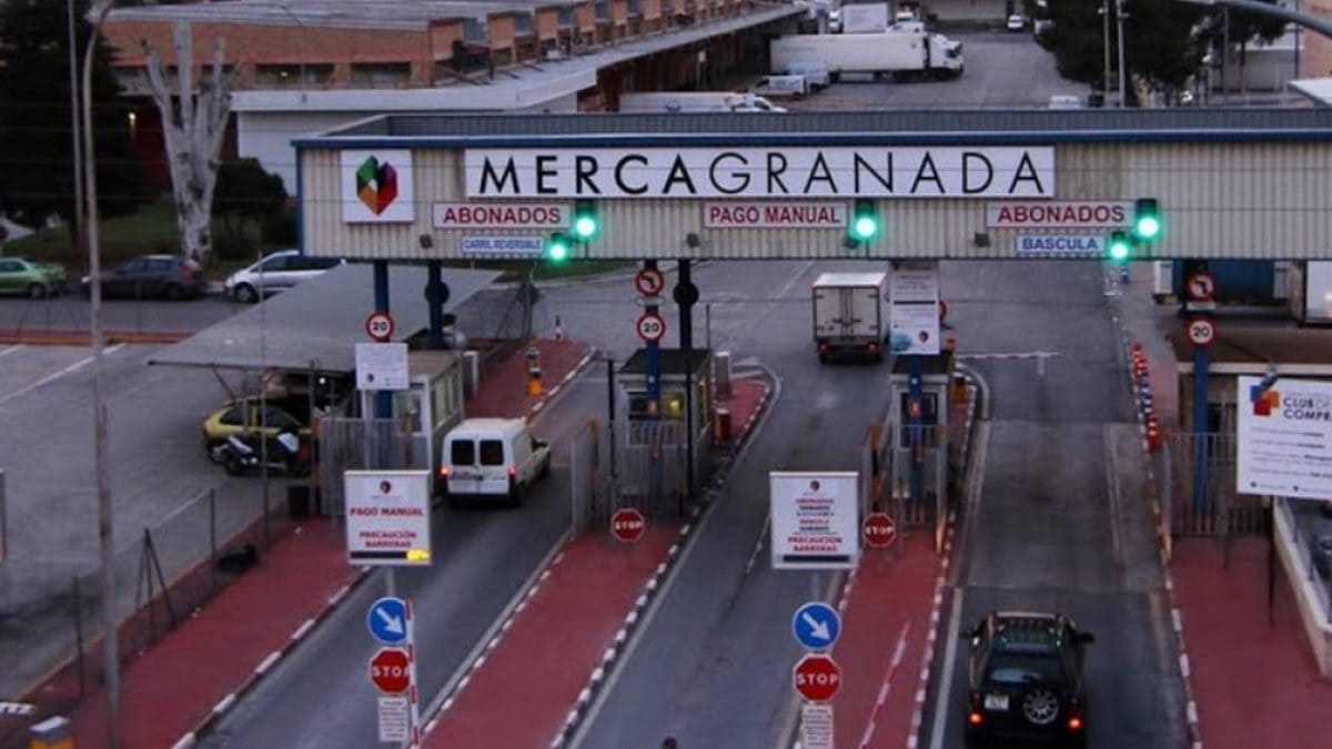 Mercagranada, una de las áreas claves de la ciudad